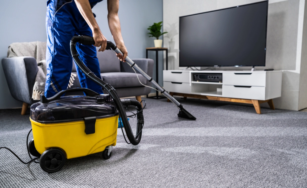 Extract Rug Cleaning Mornington Contact Office